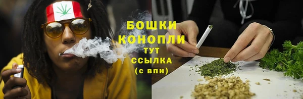 СК Богородицк