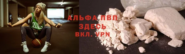 СК Богородицк