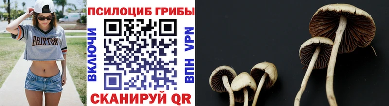 Псилоцибиновые грибы мухоморы  Купить закладки  Верхоянск 