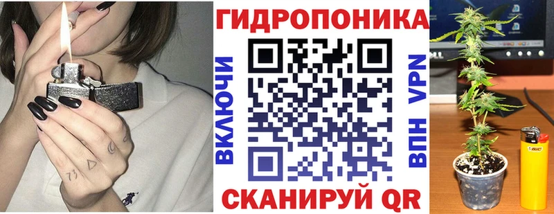 Купить где  Верхоянск  Бошки марихуана THC 21% 